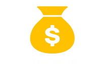 Piratpartiet